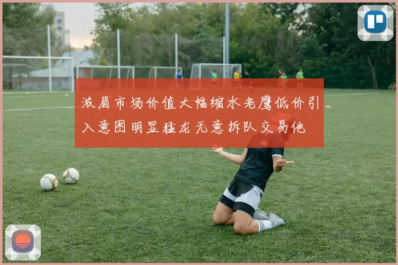 浓眉市场价值大幅缩水老鹰低价引入意图明显猛龙无意拆队交易他