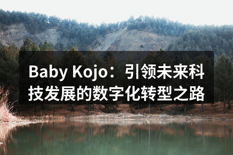 Baby Kojo：引领未来科技发展的数字化转型之路