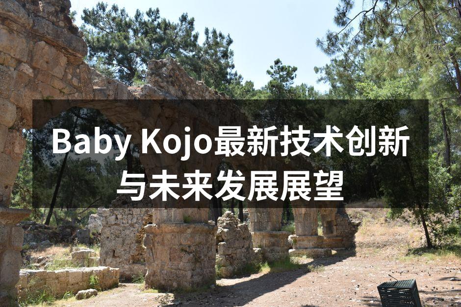 Baby Kojo最新技术创新与未来发展展望